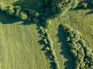 drone image. aerial view of rural area with fields and forests