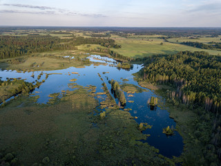 drone image. country lake surrounded by pine forest and fields from above