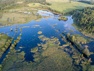 drone image. country lake surrounded by pine forest and fields from above