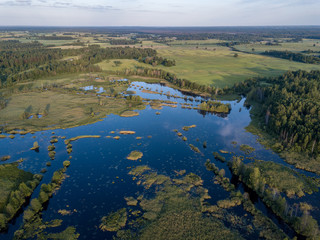 drone image. country lake surrounded by pine forest and fields from above