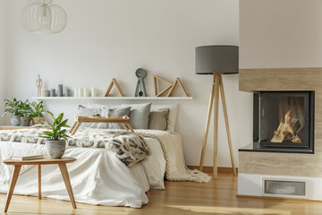 Warm bedroom interior with fireplace