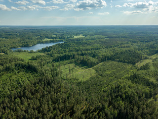 Fototapeta na wymiar drone image. country lake surrounded by pine forest and fields from above