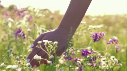 Female hand touching wild flowers closeup. Young woman running through wild meadow field. Enjoying nature. Slow motion. 3840X2160 4K UHD video footage