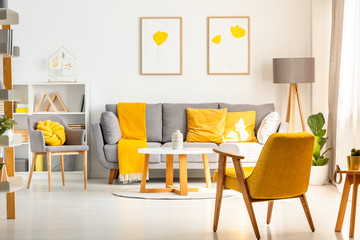Yellow armchair in white living room interior with posters above grey sofa with pillows. Real photo