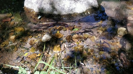 Mountain river bed