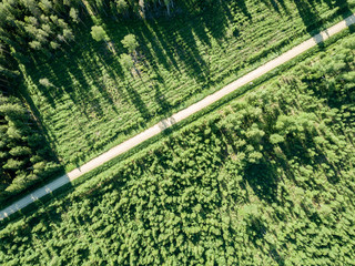 drone image. gravel road surrounded by pine forest from above
