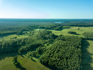 drone image. aerial view of empty cultivated fields