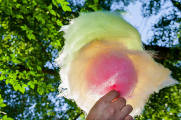 Colorful cotton candy. Closeup, selective focus