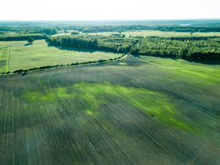 drone image. aerial view of empty cultivated fields