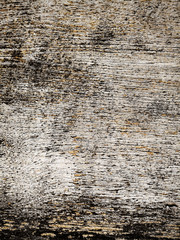 Vintage picture frame on wooden wall