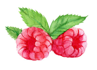 Raspberries with leaves isolated on white background, watercolor illustration