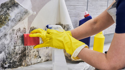 Close-up Of A Shocked Woman Looking At Mold On Wall