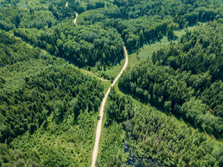 drone image. gravel road surrounded by pine forest from above