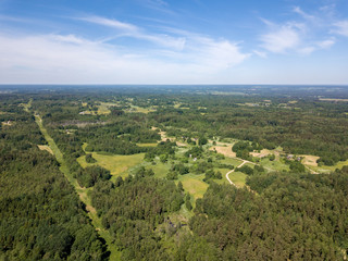 Fototapeta na wymiar drone image. gravel road surrounded by pine forest from above