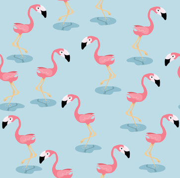 Pink flamingo bird  leg in the water pattern