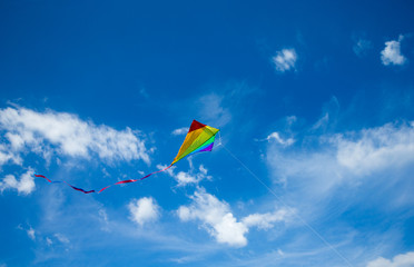 Fototapeta na wymiar Kite flying in the sky among the clouds