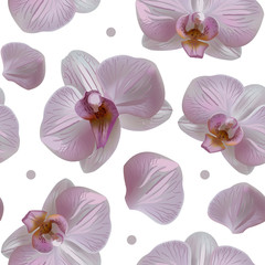 Tender orchid floral seamless pattern with blooms, petals and dots isolated on white background. Orchid flower abstract nature illustration