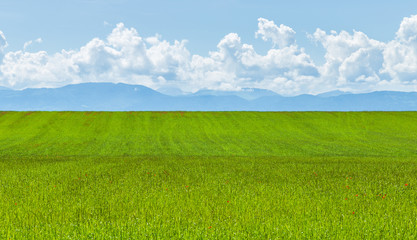 Obraz premium Charming landscape 3