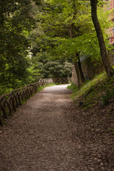 Empty pedestrian path in the park on the Eretto hill