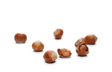 Hazelnuts isolated on white background