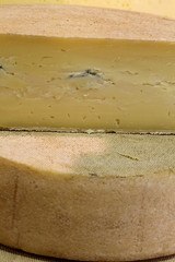 Mold in the cheese caused by curing with a oranic process withou