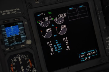 cockpit view detail