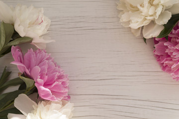 Peony flowers on a light wooden background