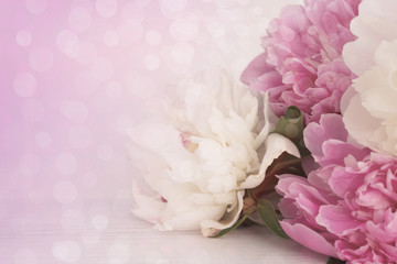 light floral background of peonies