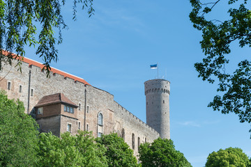 Castle and Tower, Tallinn