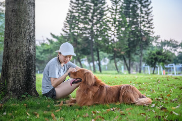 Golden Retriever playing in the park