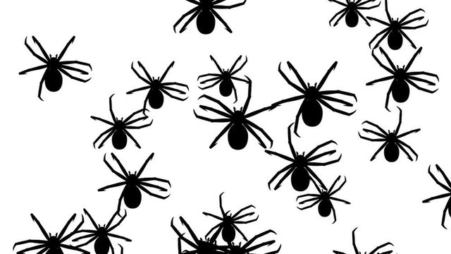 Invasion of hordes of spiders. Crowd of creepy arthropods runs on a white background, black silhouettes fill the screen and turn into a black backdrop, 3D animation.