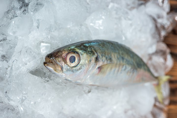 Fresh raw fish on ice on a wooden table.