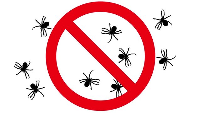 Spiders in prohibition sign. Black silhouettes of arachnids swarm on white background, 3D animation.