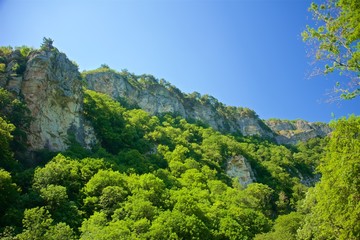 Obraz premium A mountain range not far from the city of Sochi. High rocks and a cliff beneath them. Eagle rocks. Green forest below.