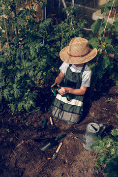 Kid working in greenhouse