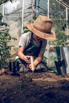 Boy working in greenhouse