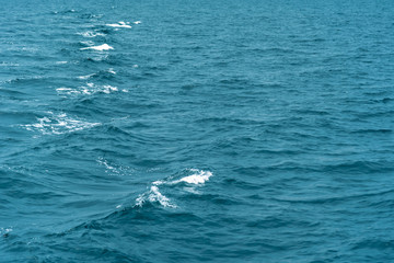 Fototapeta premium Pure aqua sea blue water wave surface background