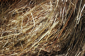 haystack in the sun