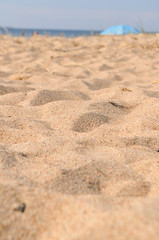 Fototapeta na wymiar sand and seashells on the beach of the sea on a sunny day