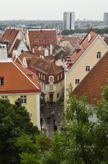 old streets, houses and roofs of the Old Town in Tallinn
