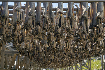 Stock fish