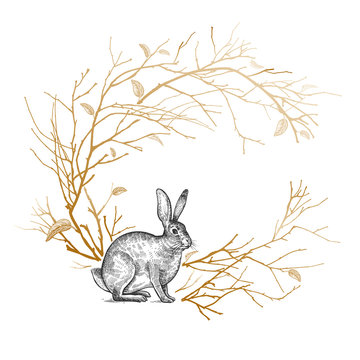 recommend clip art: Decorative frame with tree branches and hare.