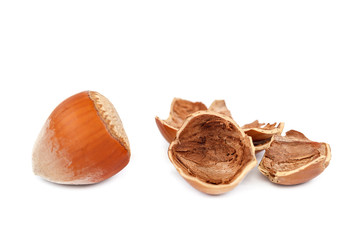 Hazelnut on a isolated on white background.