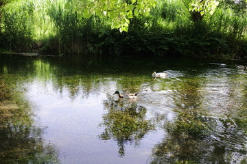 the fountain of Clitunno, Umbria, Italy
