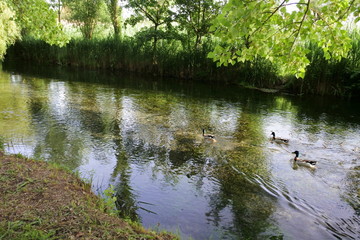 the fountain of Clitunno, Umbria, Italy
