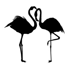 vector file of flamingo
