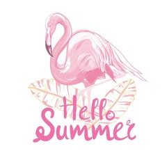 Pink flamingo vector illustration © Vladimir