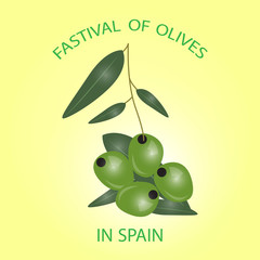 Green olives branch isolated on white background. Design for olive oil, cosmetics, health care products