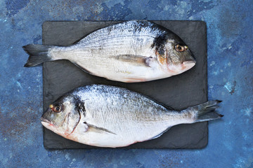 Fresh, raw Dorado fish with asparagus, tomatoes and spices on a concrete background. Ingredients for cooking.