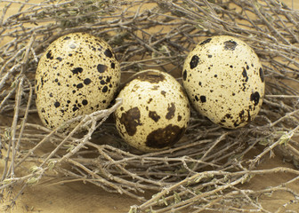 Quail eggs with wooden background